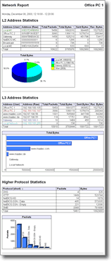 Standard Report Style